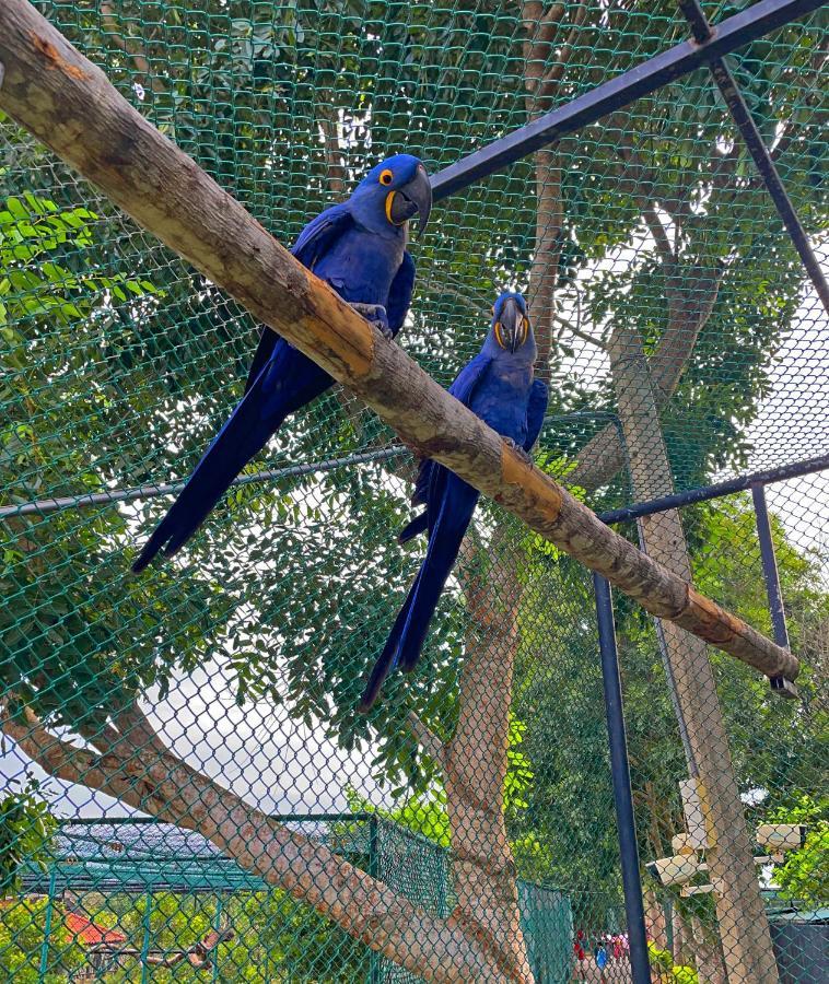 Birds Resort Hambantota Dış mekan fotoğraf